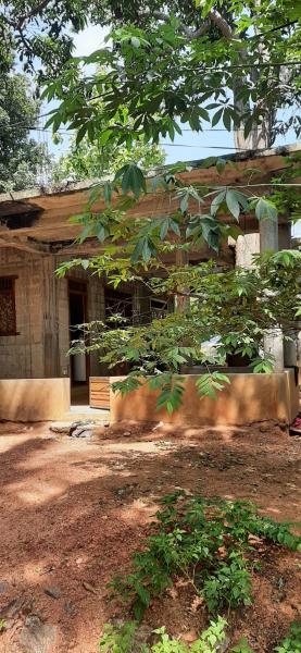 Local Life House
